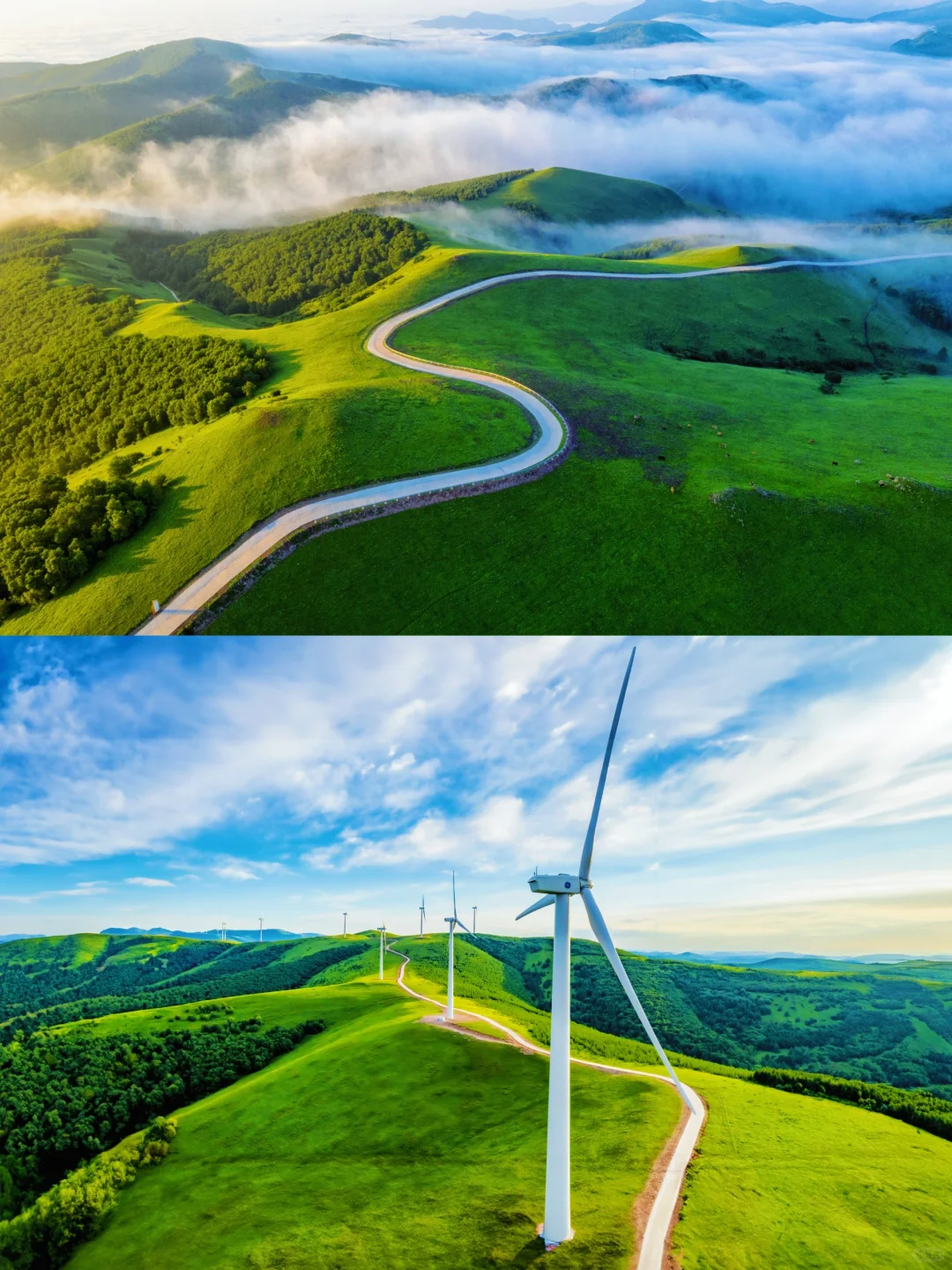 端午去坝上！3h开进22℃的云端草原🌿