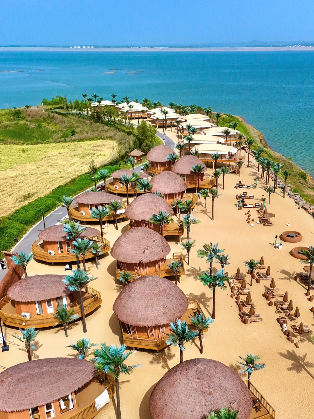 信阳❗️你还有多少惊喜是我不知道的😭附攻略