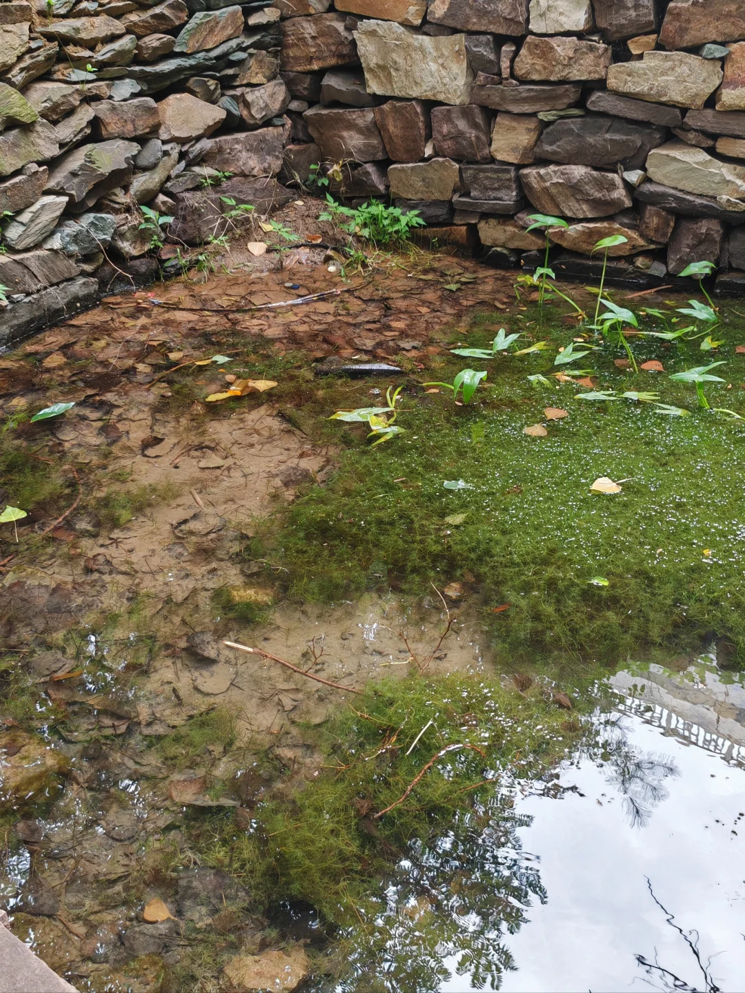 柳仙谷 石家庄周末游玩的凉爽好去处