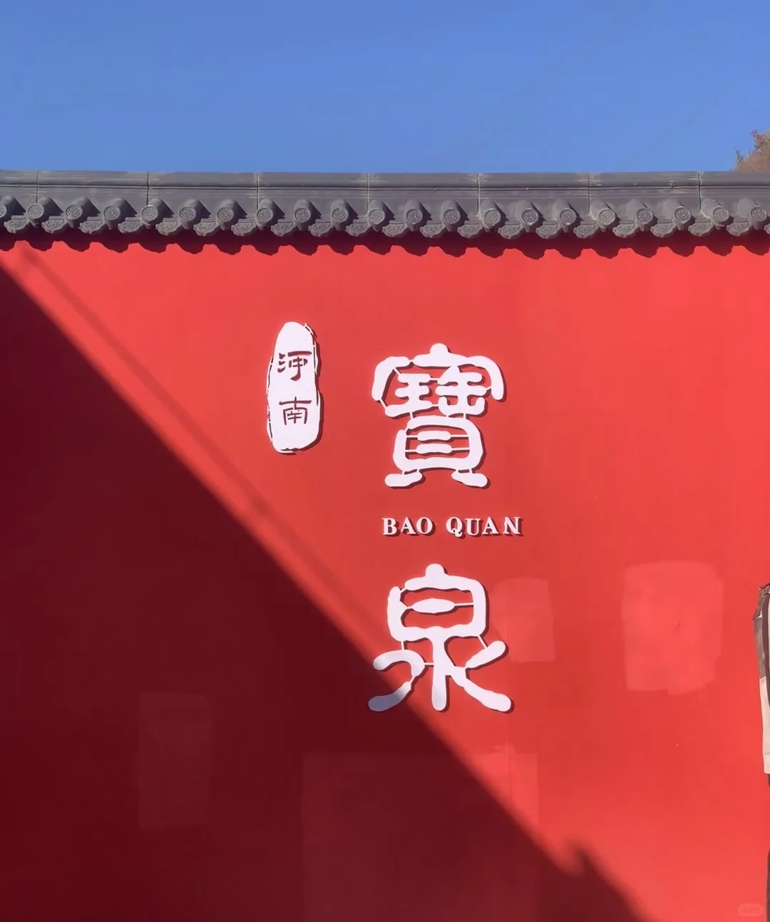 去宝泉，过来人的真建议‼️能救一个是一个‼️