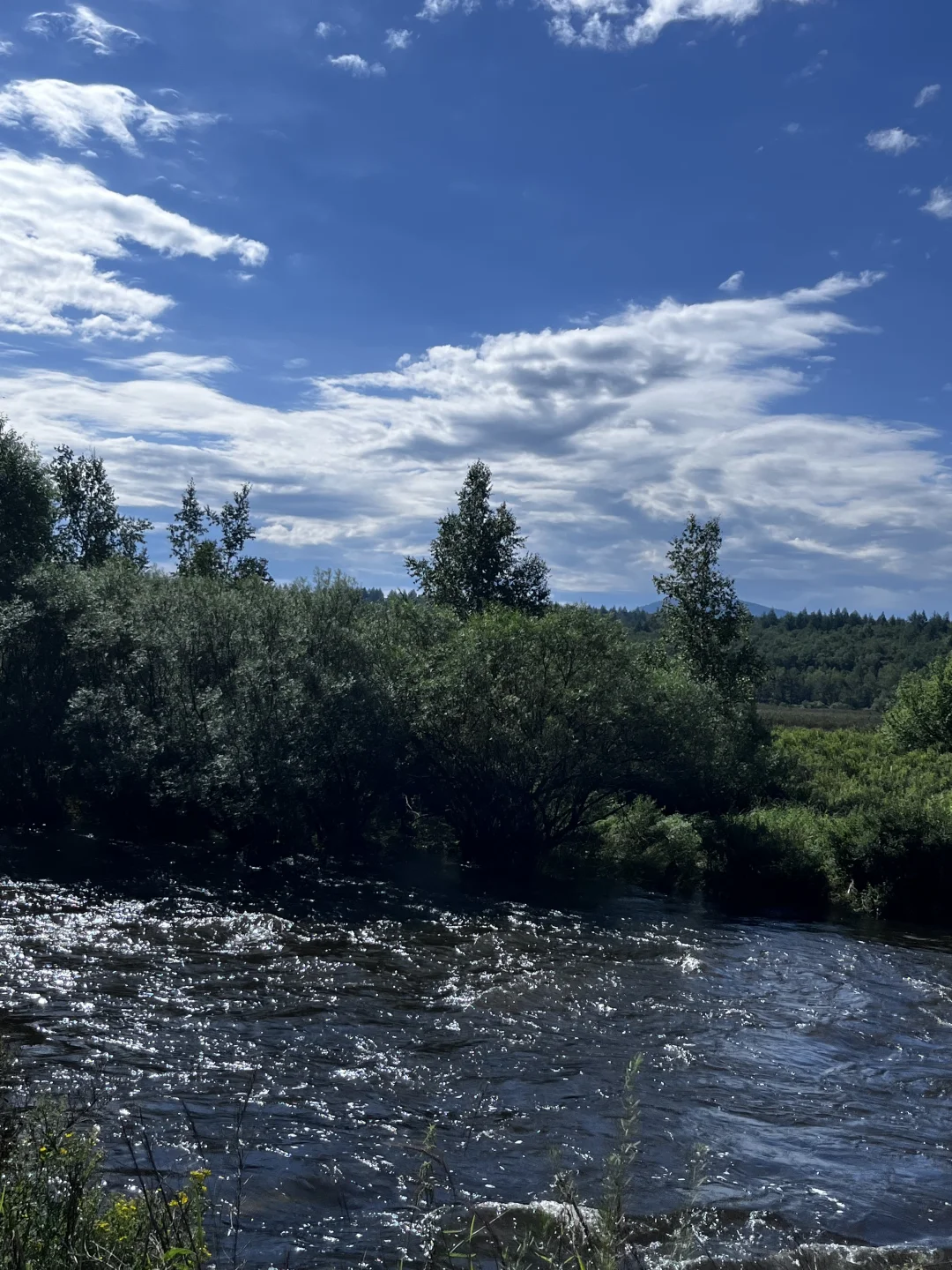 人生建议 一定要去一次大兴安岭📸（内附攻略