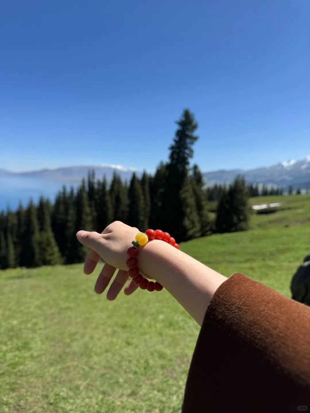 新疆回来第二天 不想报团的姐妹参考这篇