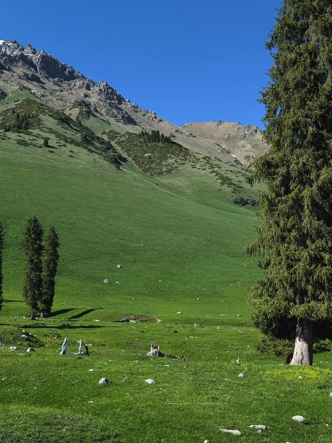 5.14日｜唐布拉到底要不要来？