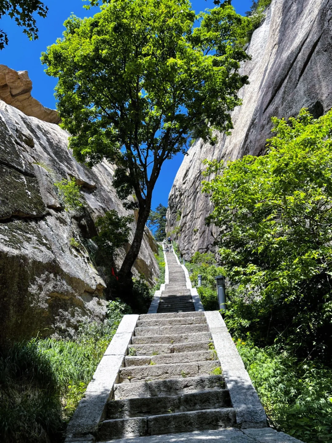 ✨ 陕西华阴 | 华山论剑·玉泉院摄影攻略