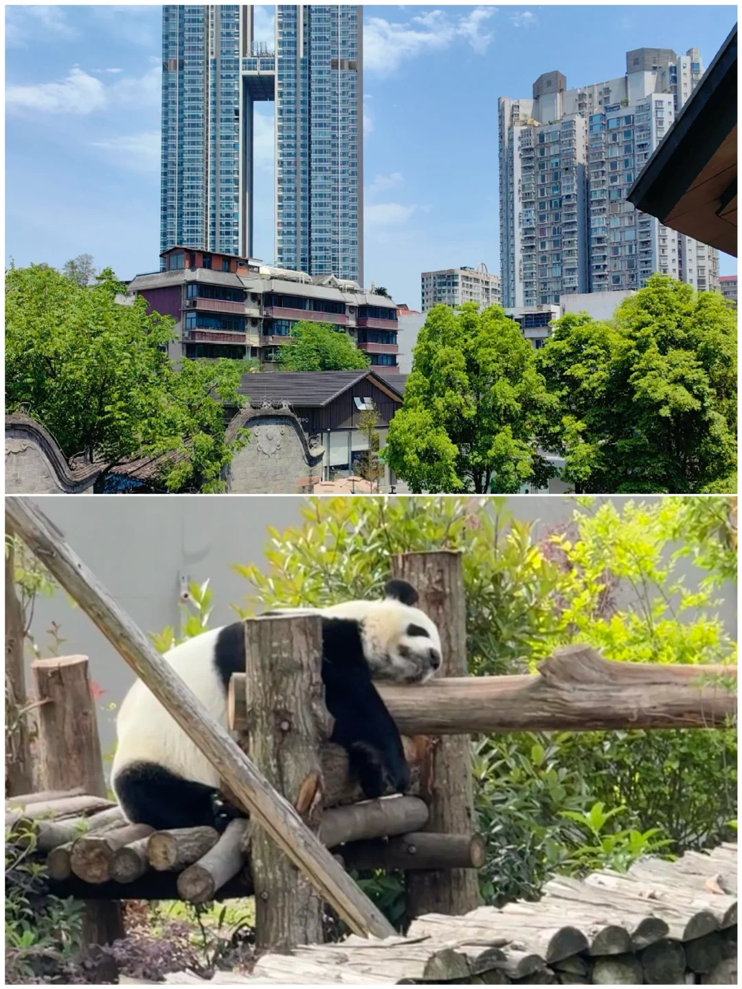 🚄周末说走就走！7个零差评短途游城市攻略✨