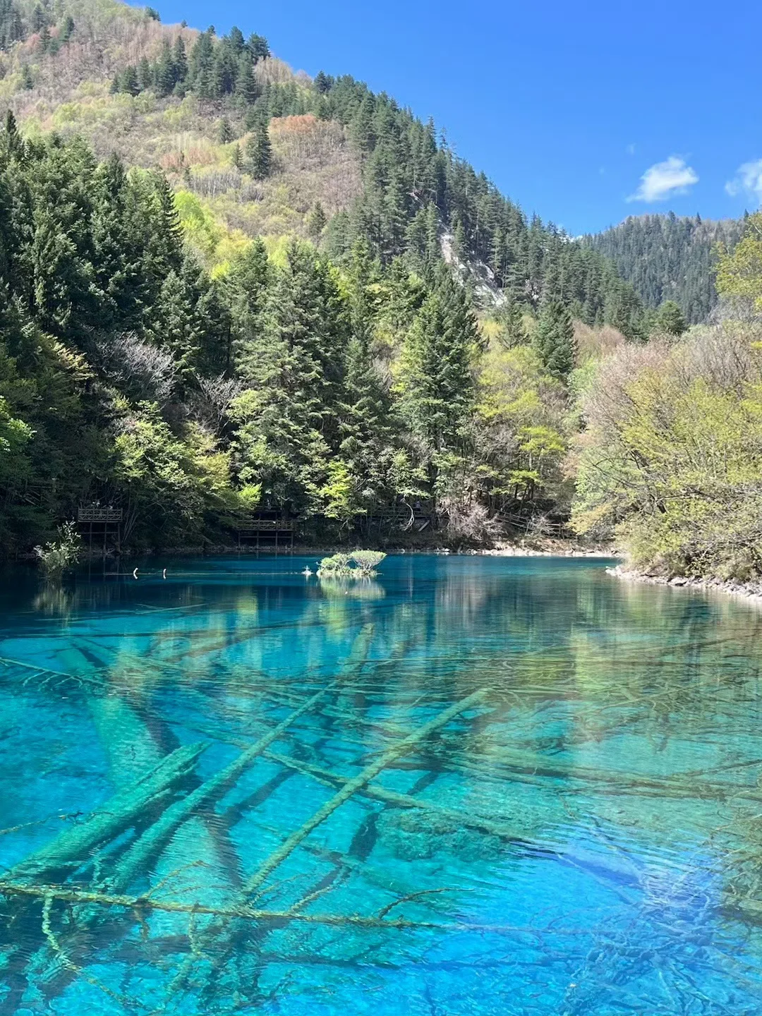 xhs说的对,5-6月计划去九寨沟的听劝😅…