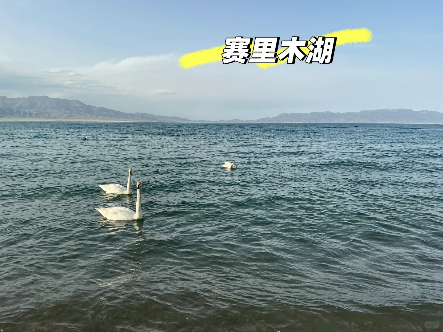 2025年5月1-11日四大一小北疆旅游攻略