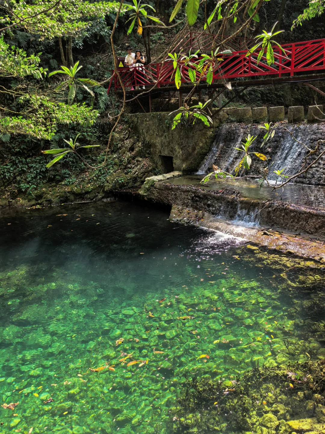 西安2h|不愧是小江南❗️没人能拒绝全攻略