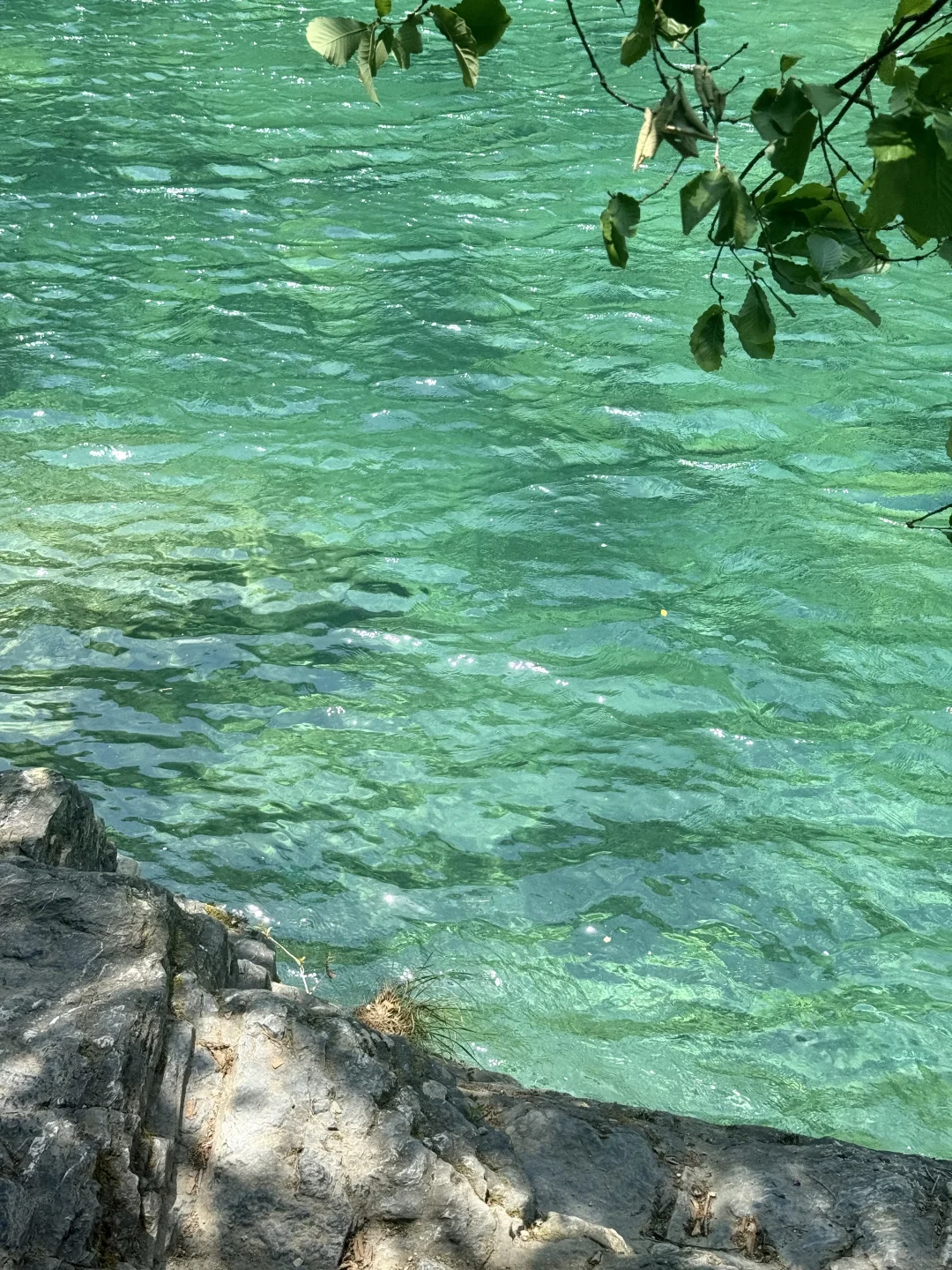 能劝一个是一个！避雷石台牯牛降‼️