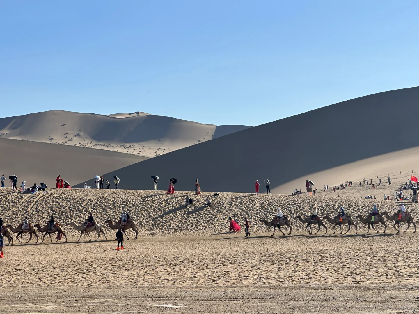 为什么很多景区都不能直达了