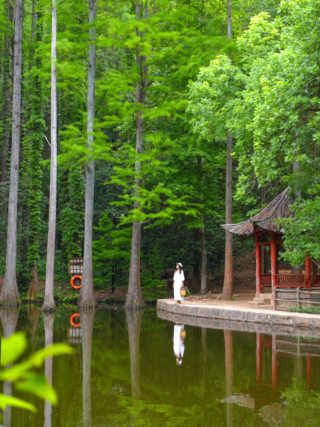 信阳❗️你还有多少惊喜是我不知道的😭附攻略