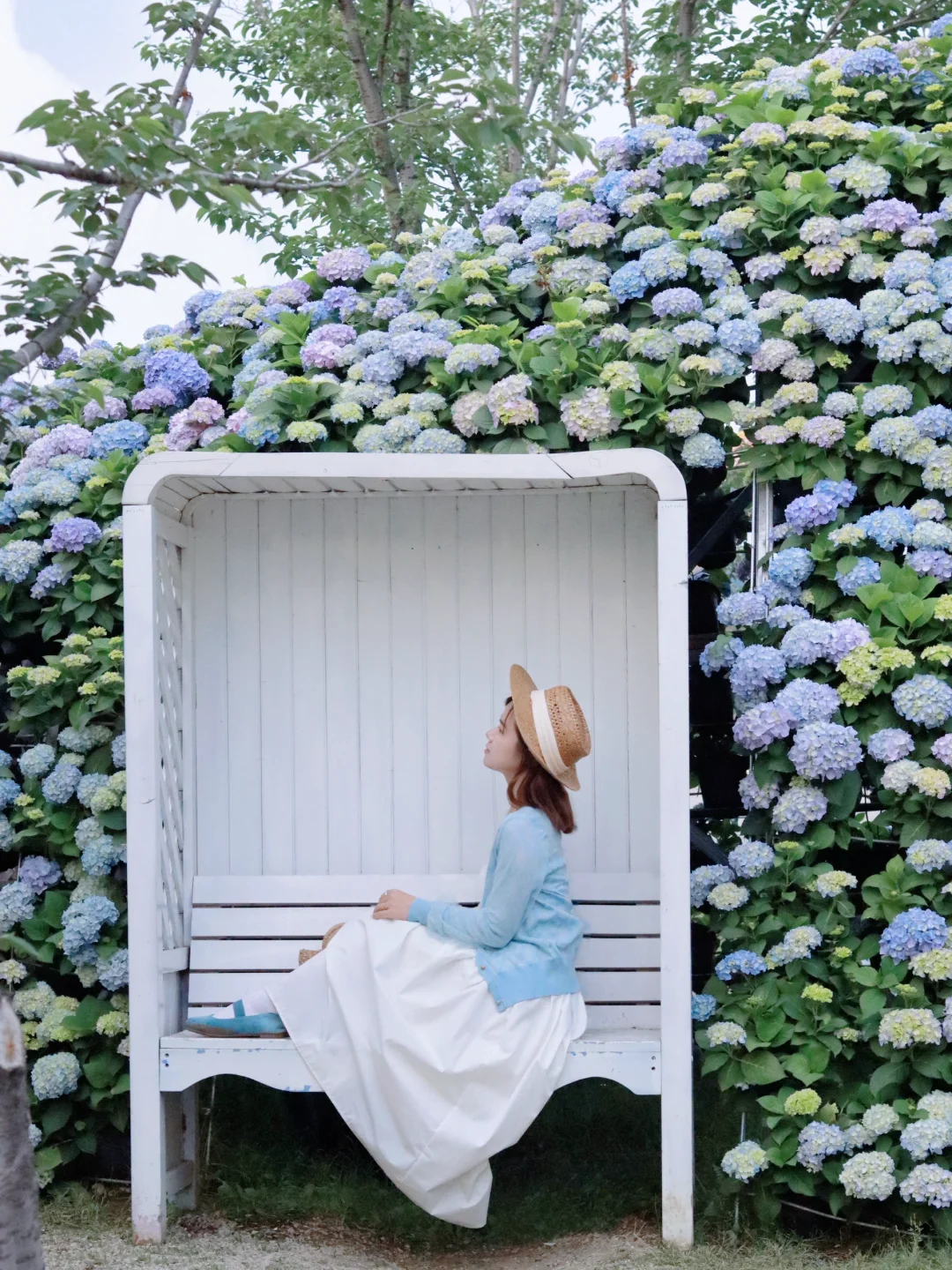 5月19——25日🔥无锡全市半价景区汇总版✅