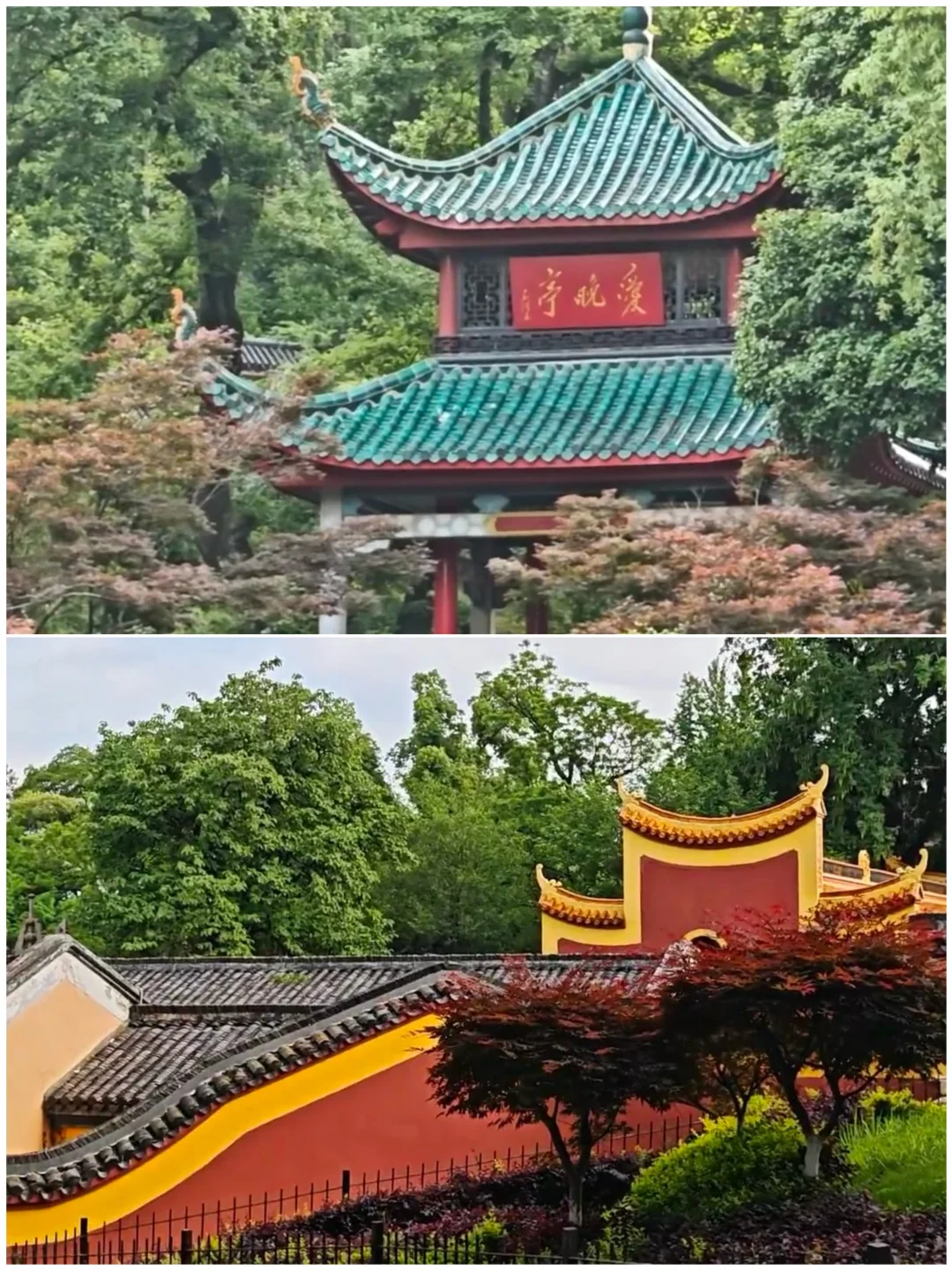 🚄周末说走就走！7个零差评短途游城市攻略✨