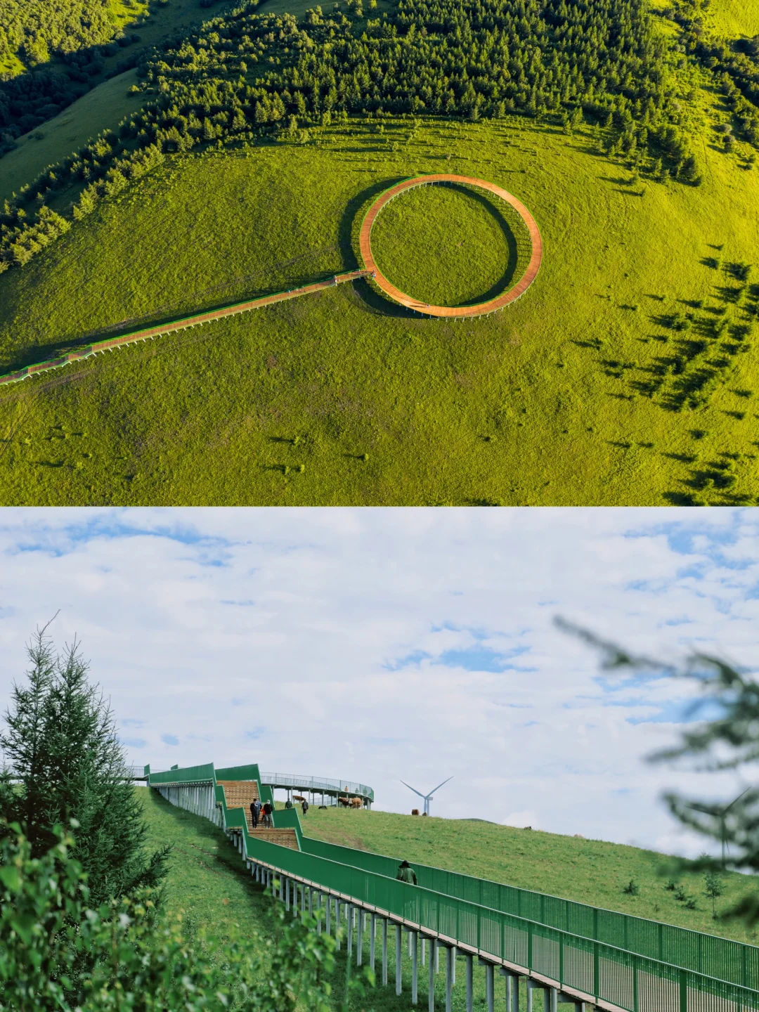 端午去坝上！3h开进22℃的云端草原🌿