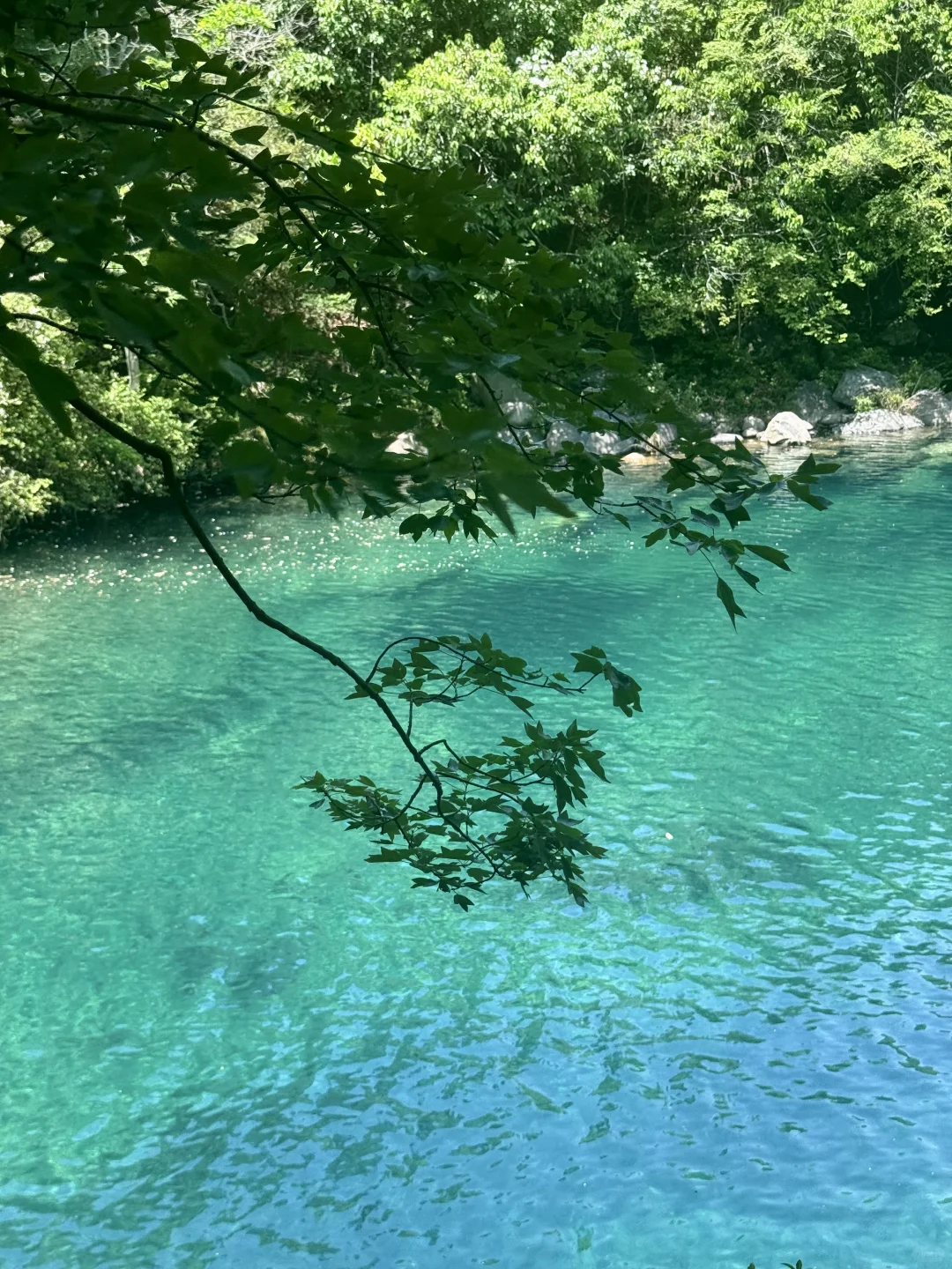 能劝一个是一个！避雷石台牯牛降‼️