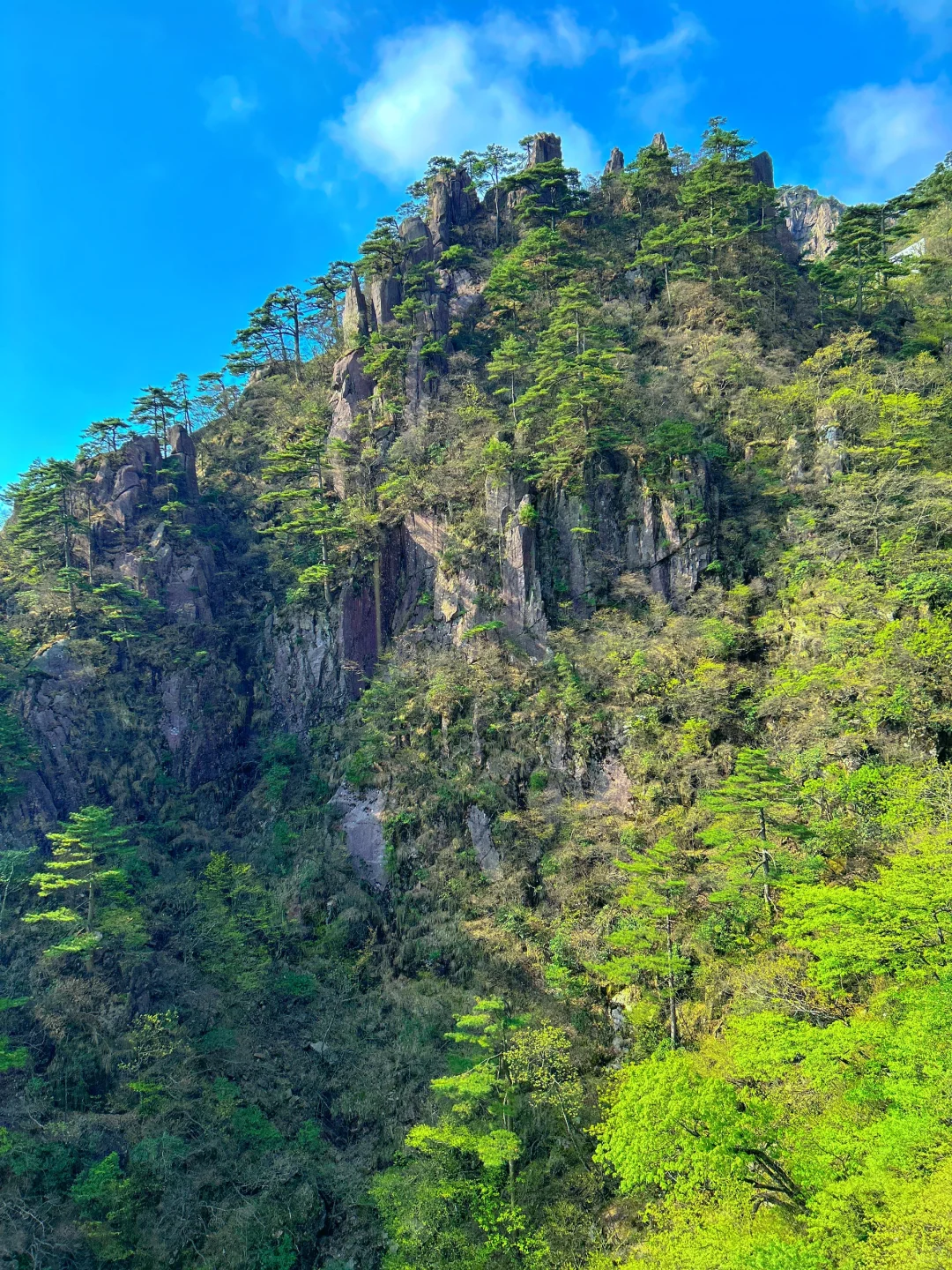还在犹豫黄山值不值得去？看完你就明白了