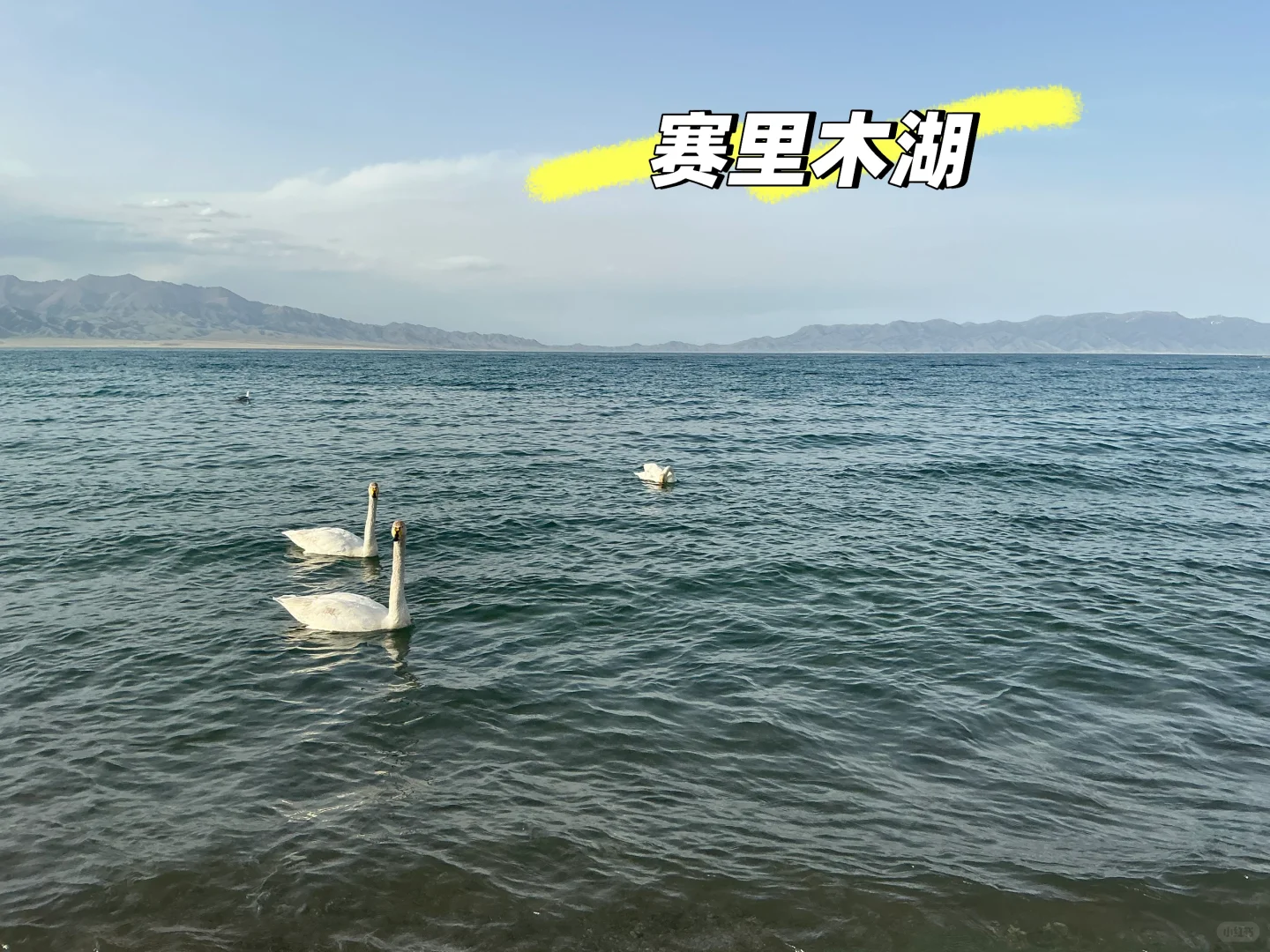 2025年5月1-11日四大一小北疆旅游攻略