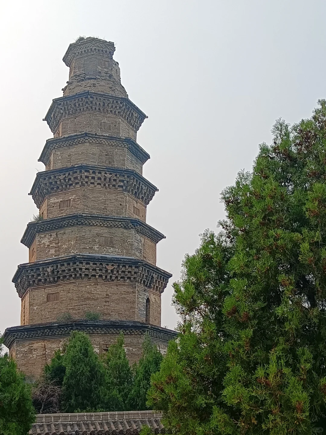 我也拍到了《国家地理》的封面