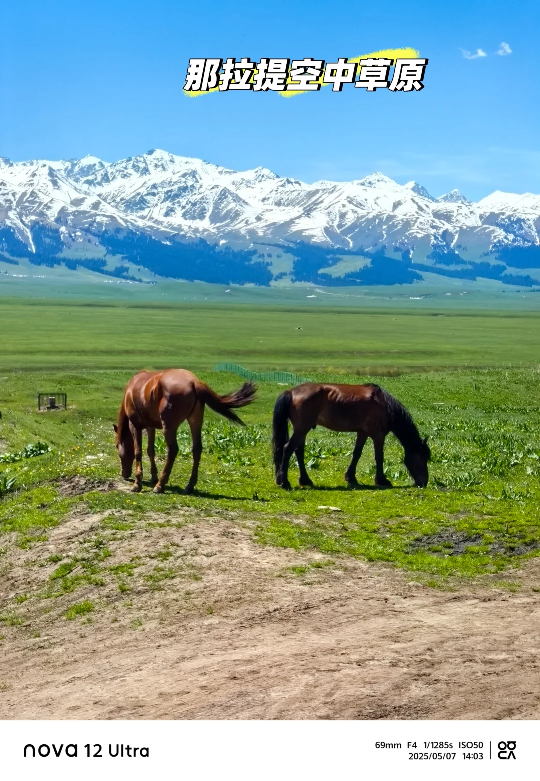 2025年5月1-11日四大一小北疆旅游攻略