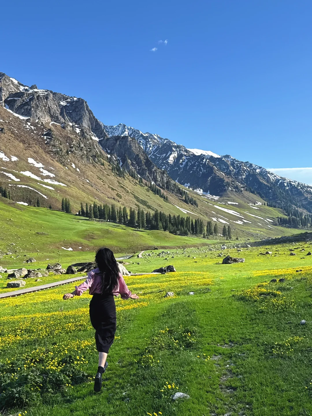 5.14日｜唐布拉到底要不要来？