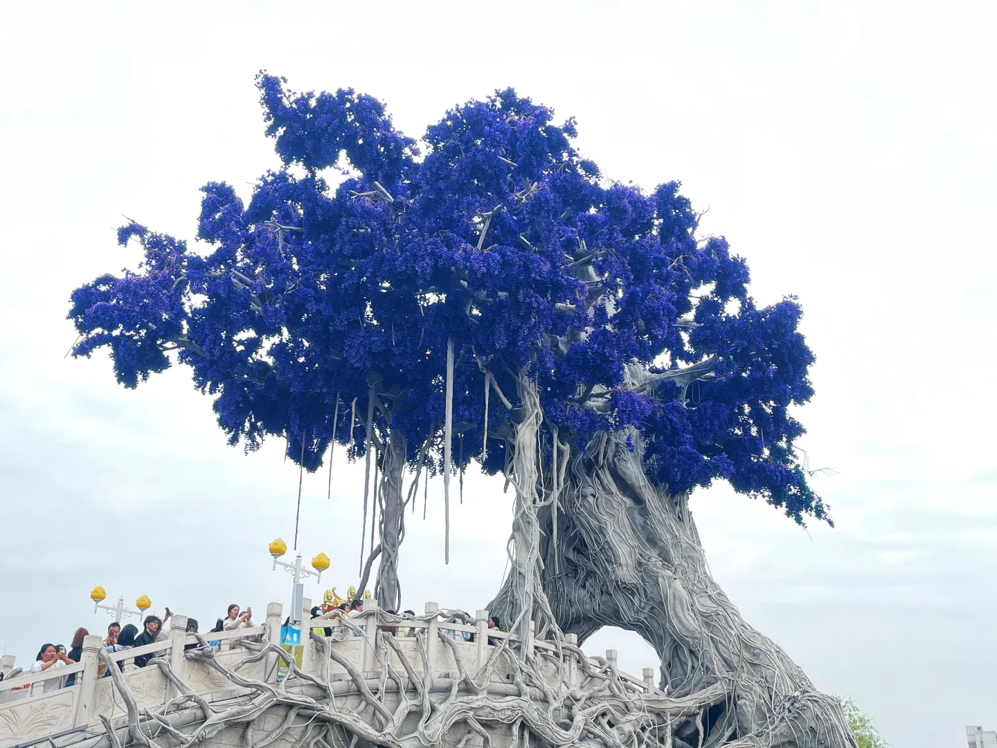 避雷❗️河头老街💥不会再来了‼️