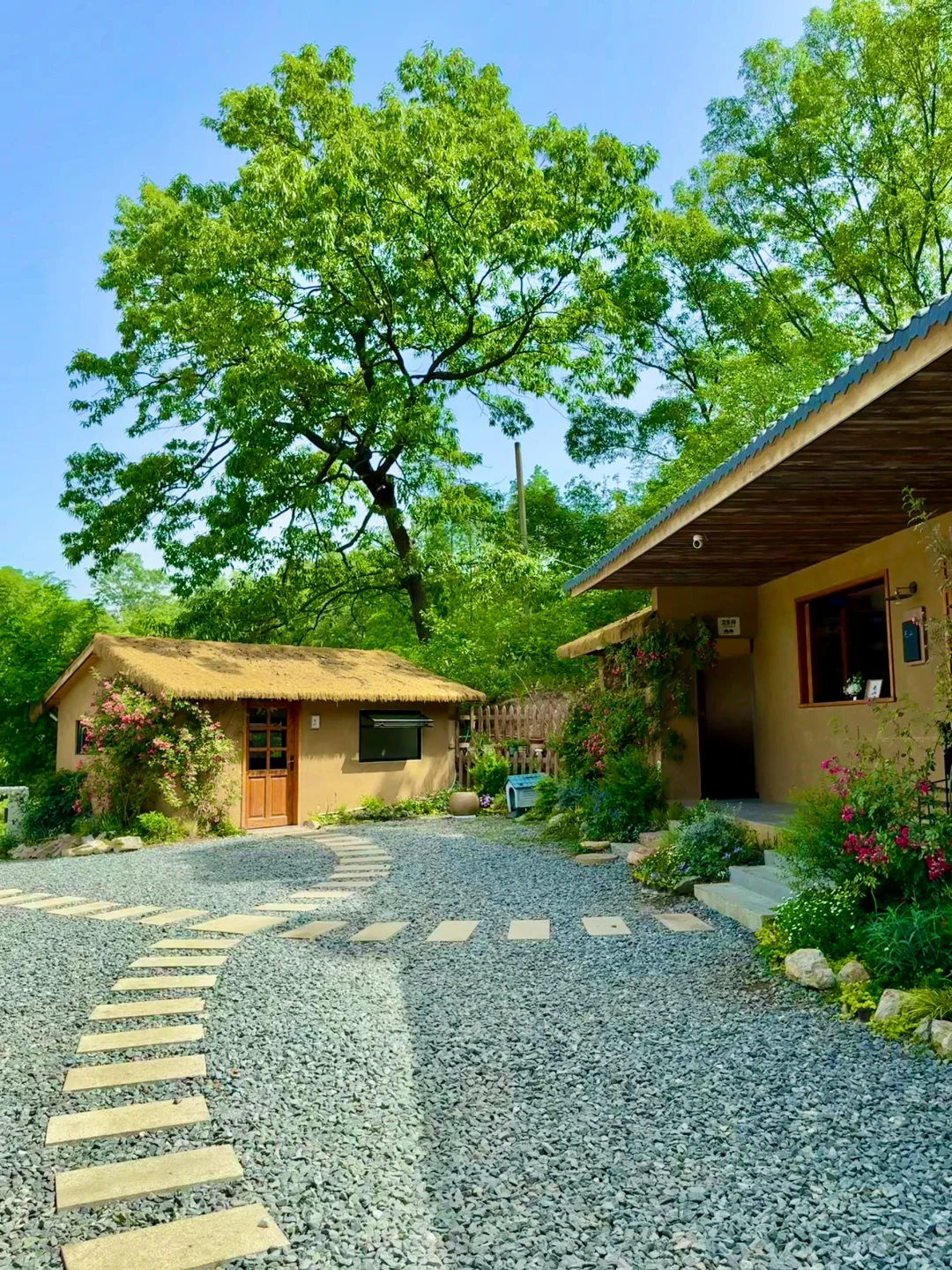 信阳❗️你还有多少惊喜是我不知道的😭附攻略