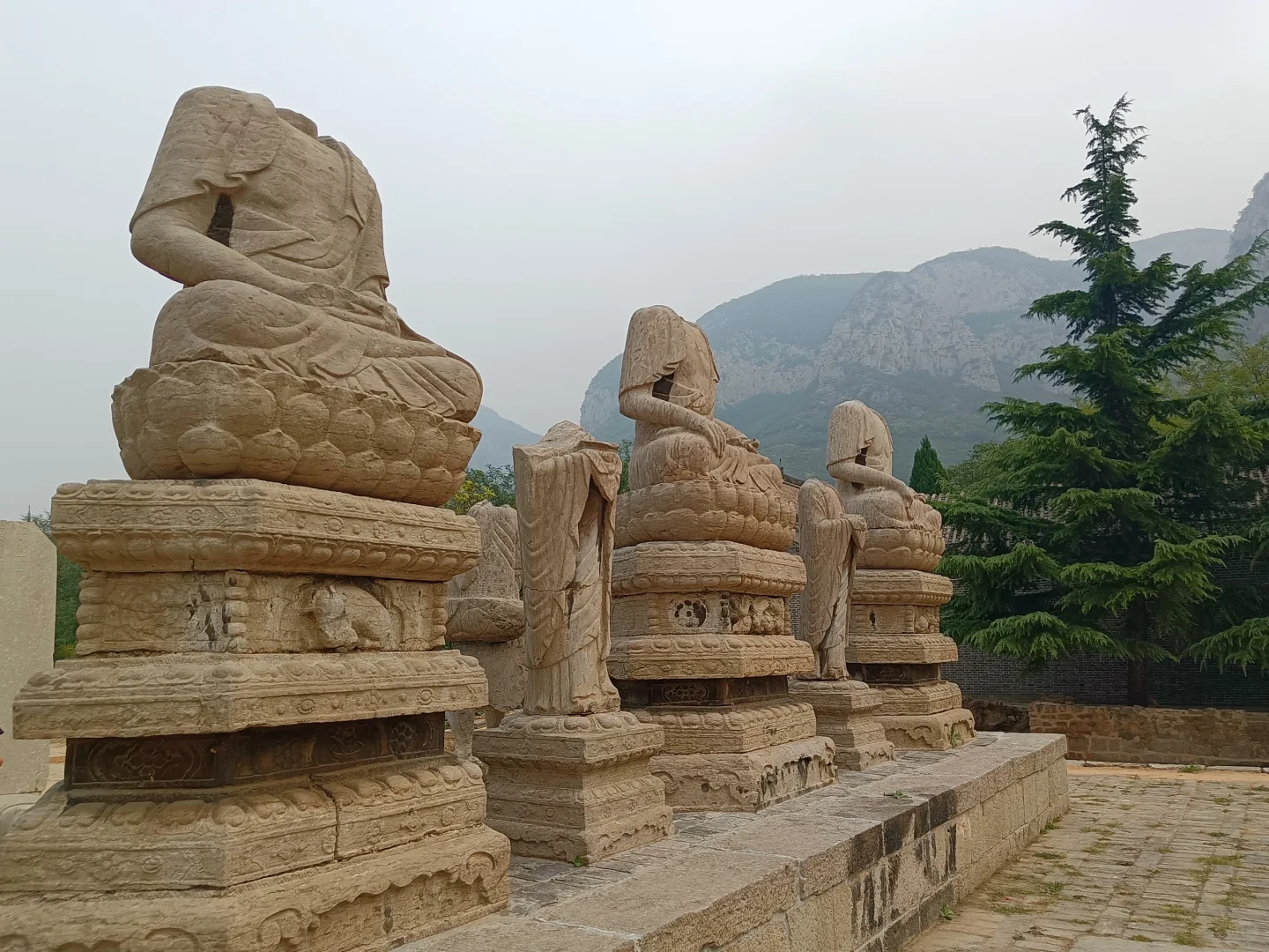 我也拍到了《国家地理》的封面