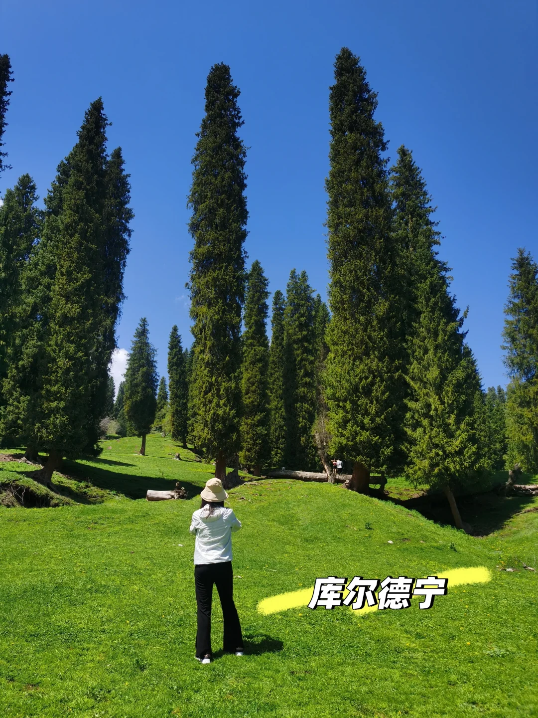 2025年5月1-11日四大一小北疆旅游攻略