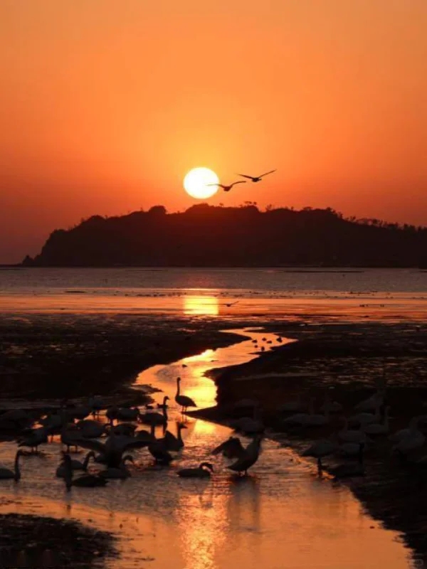 🙋🏻‍♀去威海三次以上的人，才知道的玩法！