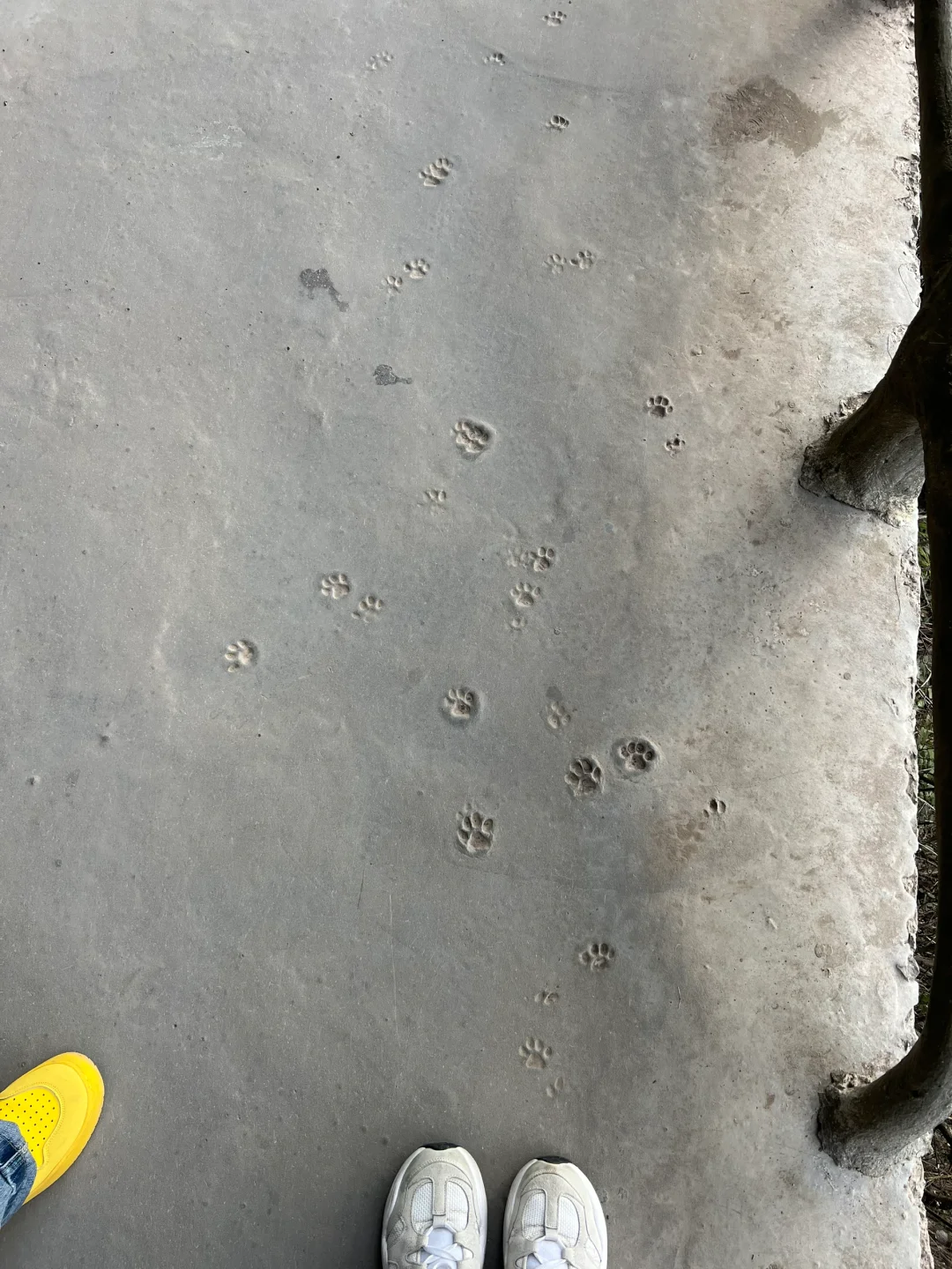 来天门山感觉像去了韩国🇰🇷