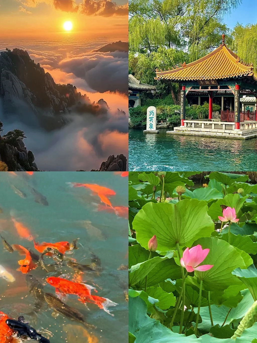 被问了100遍的山东旅游目的地攻略❗