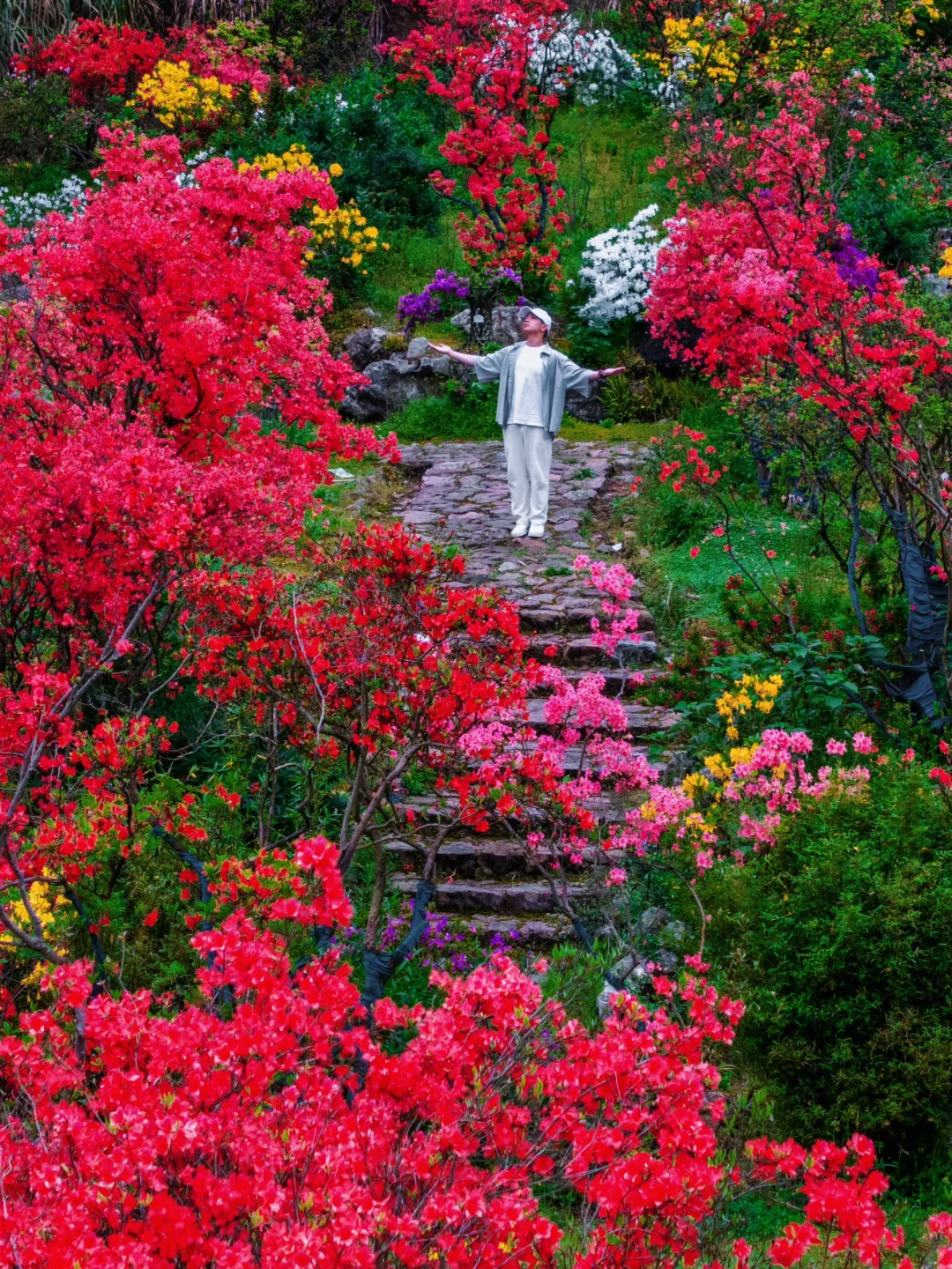 李白没骗我😭在江西竟然拍到了“手可摘星辰”