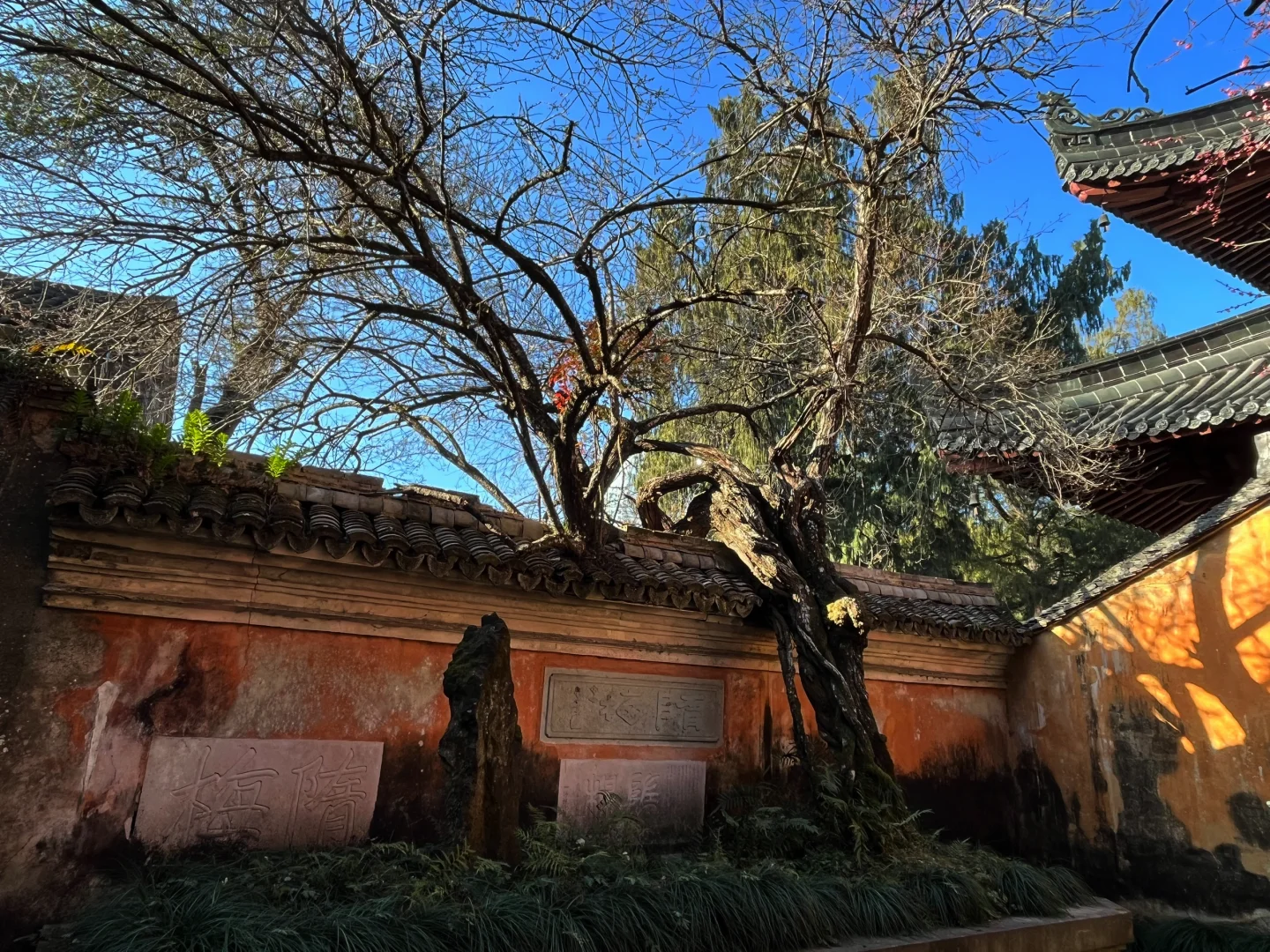 佛门清净地——天台山国清寺景区
