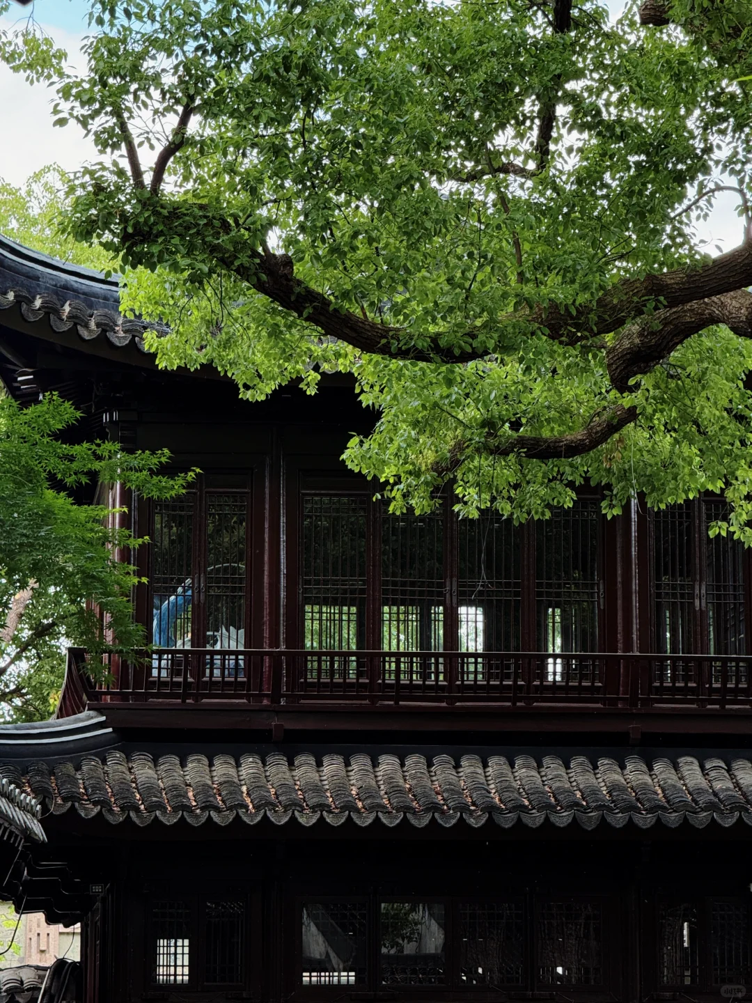 5月19——25日🔥无锡全市半价景区汇总版✅