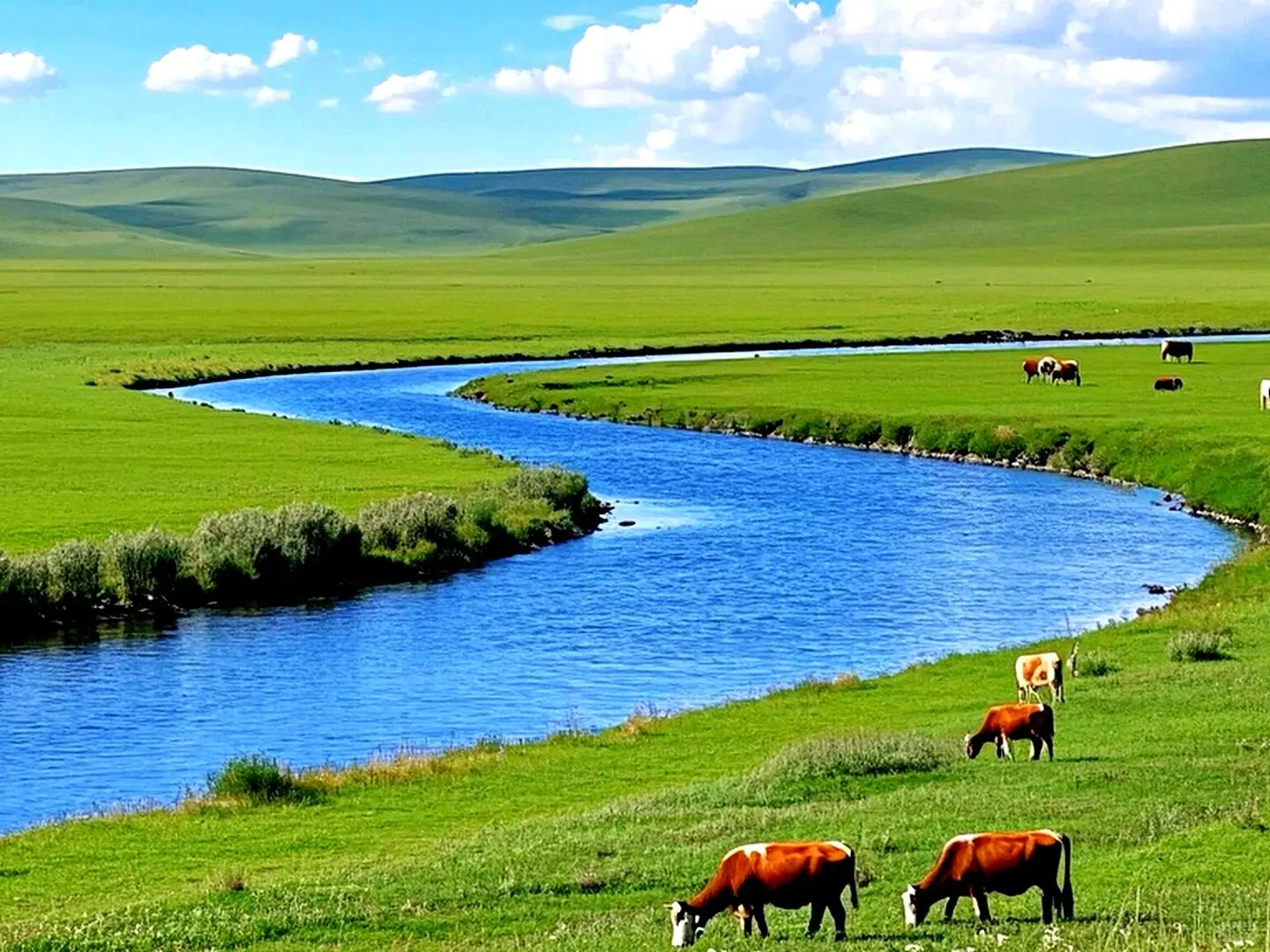 呼伦贝尔会惩罚每一个爱拉屎💩的人❗️❗️
