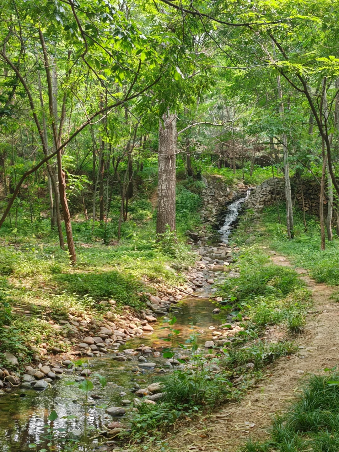 柳仙谷 石家庄周末游玩的凉爽好去处