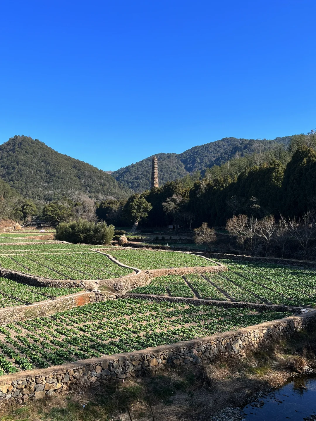 佛门清净地——天台山国清寺景区