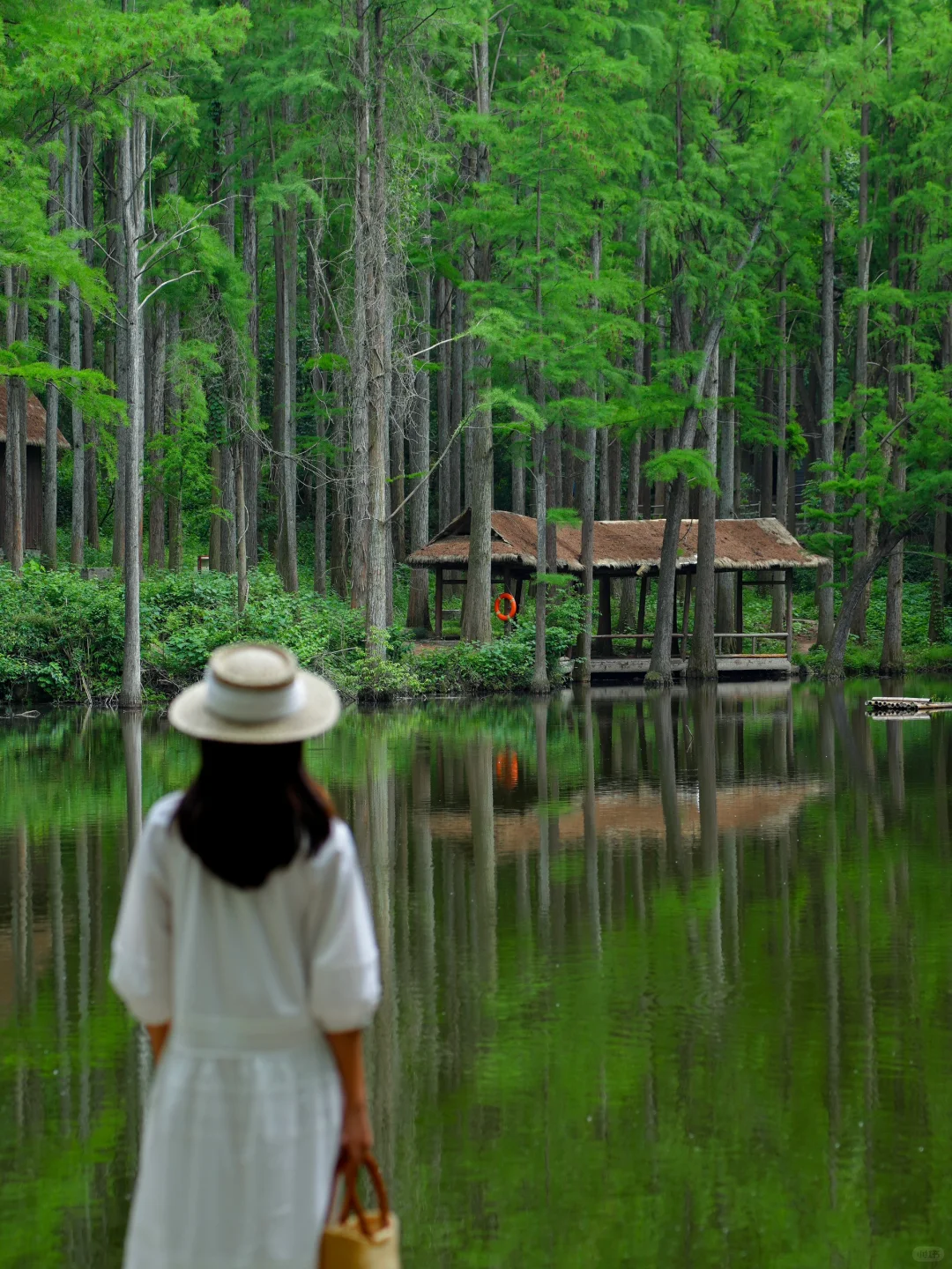 信阳❗️你还有多少惊喜是我不知道的😭附攻略