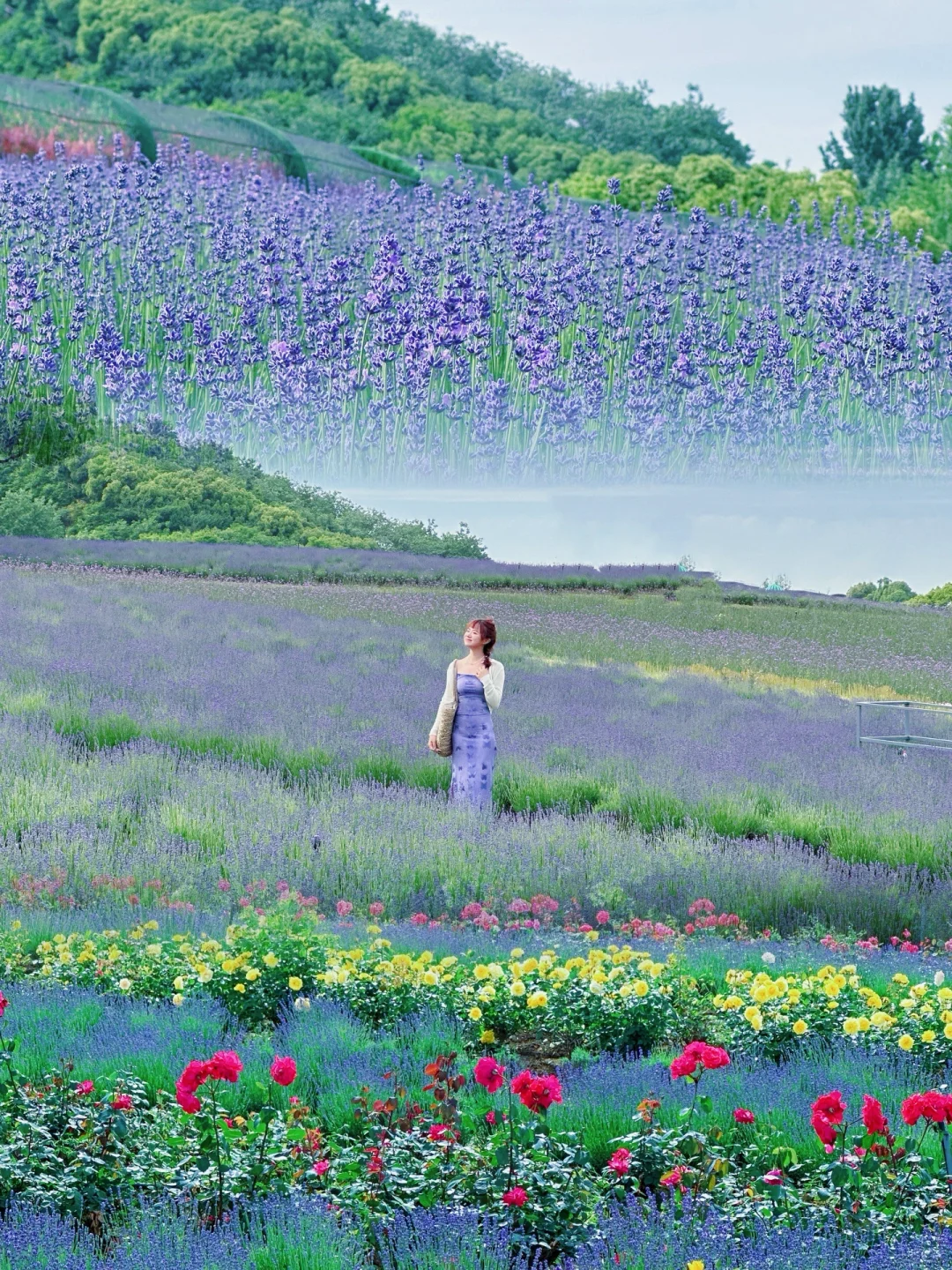 5月19——25日🔥无锡全市半价景区汇总版✅