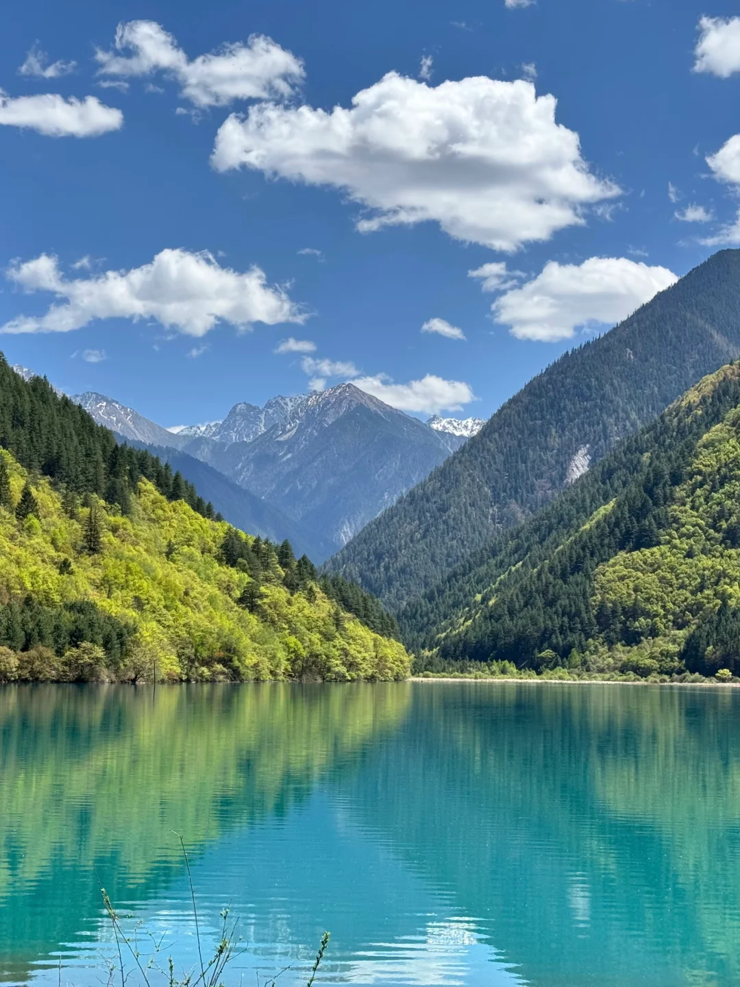 xhs说的对,5-6月计划去九寨沟的听劝😅…