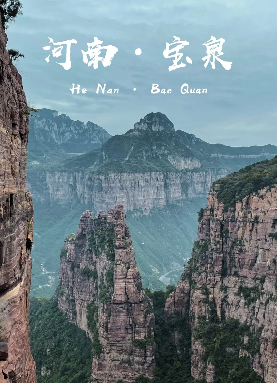 去宝泉，过来人的真建议‼️能救一个是一个‼️