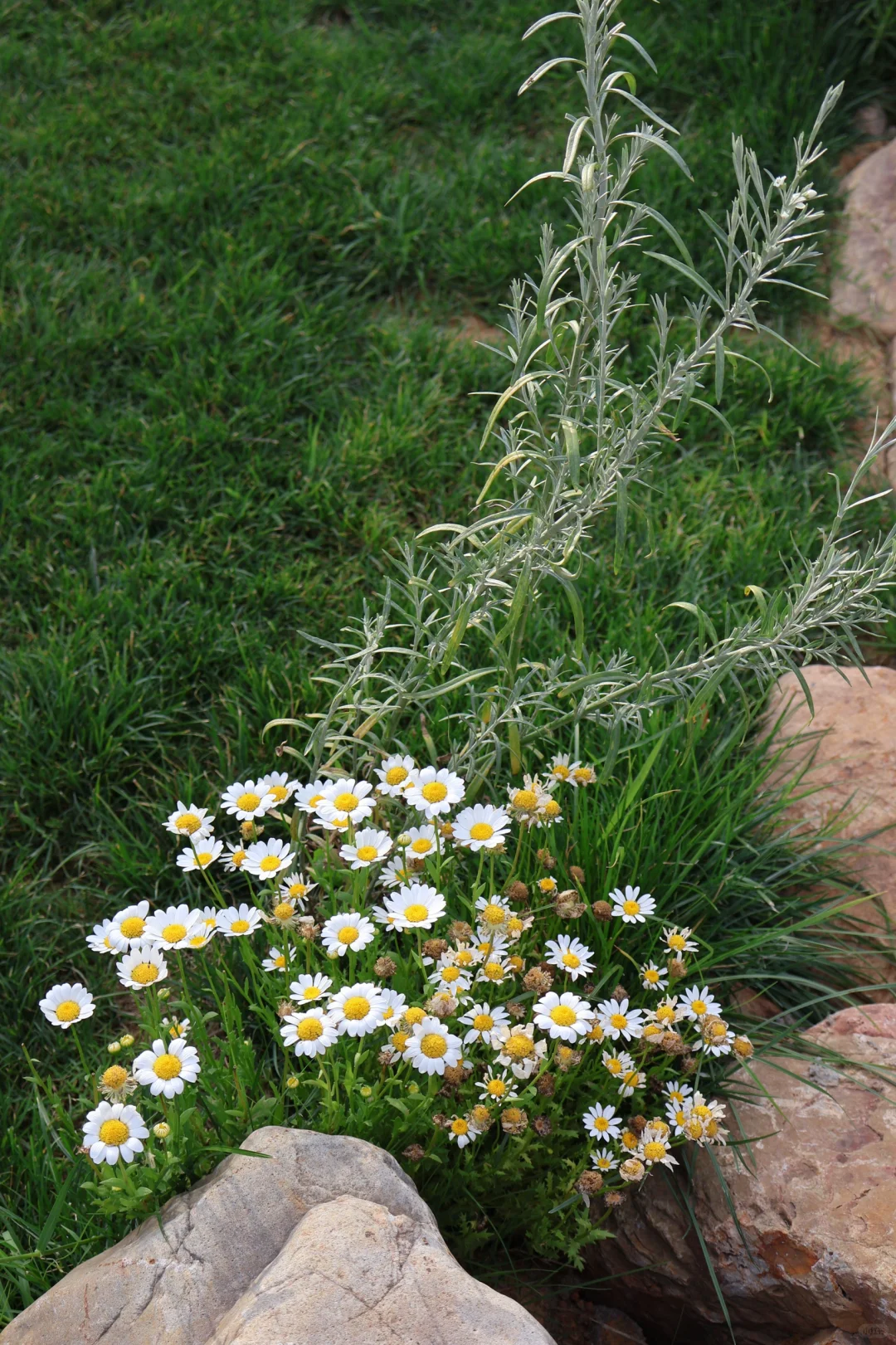 来湖州“小巴厘岛”度个假吧🌊