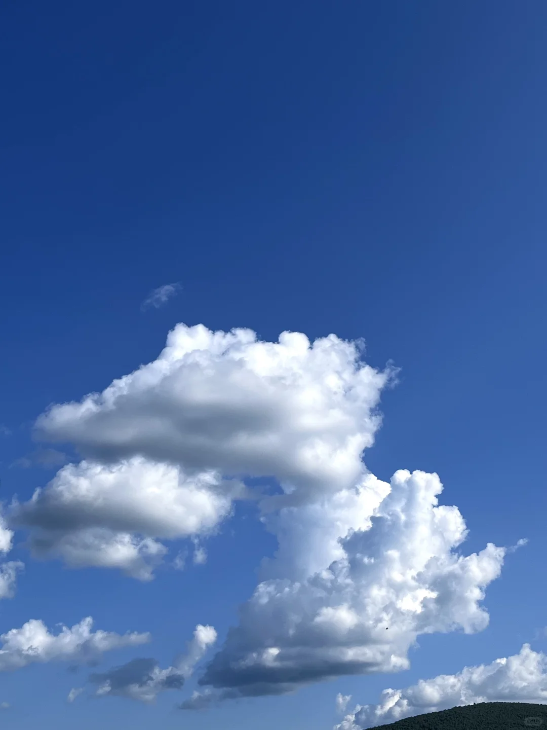 人生建议 一定要去一次大兴安岭📸（内附攻略