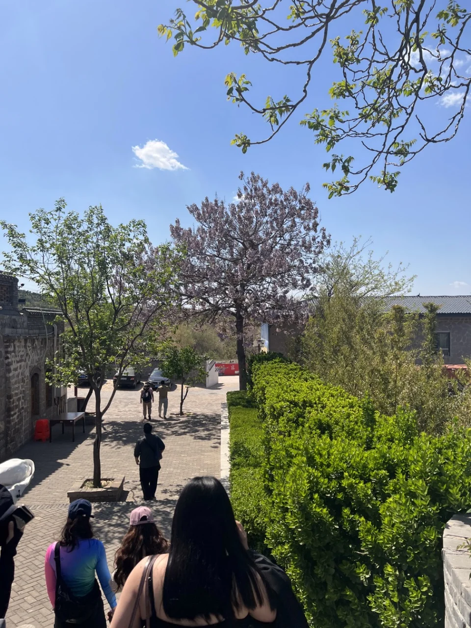 不容错过的邯郸古城!