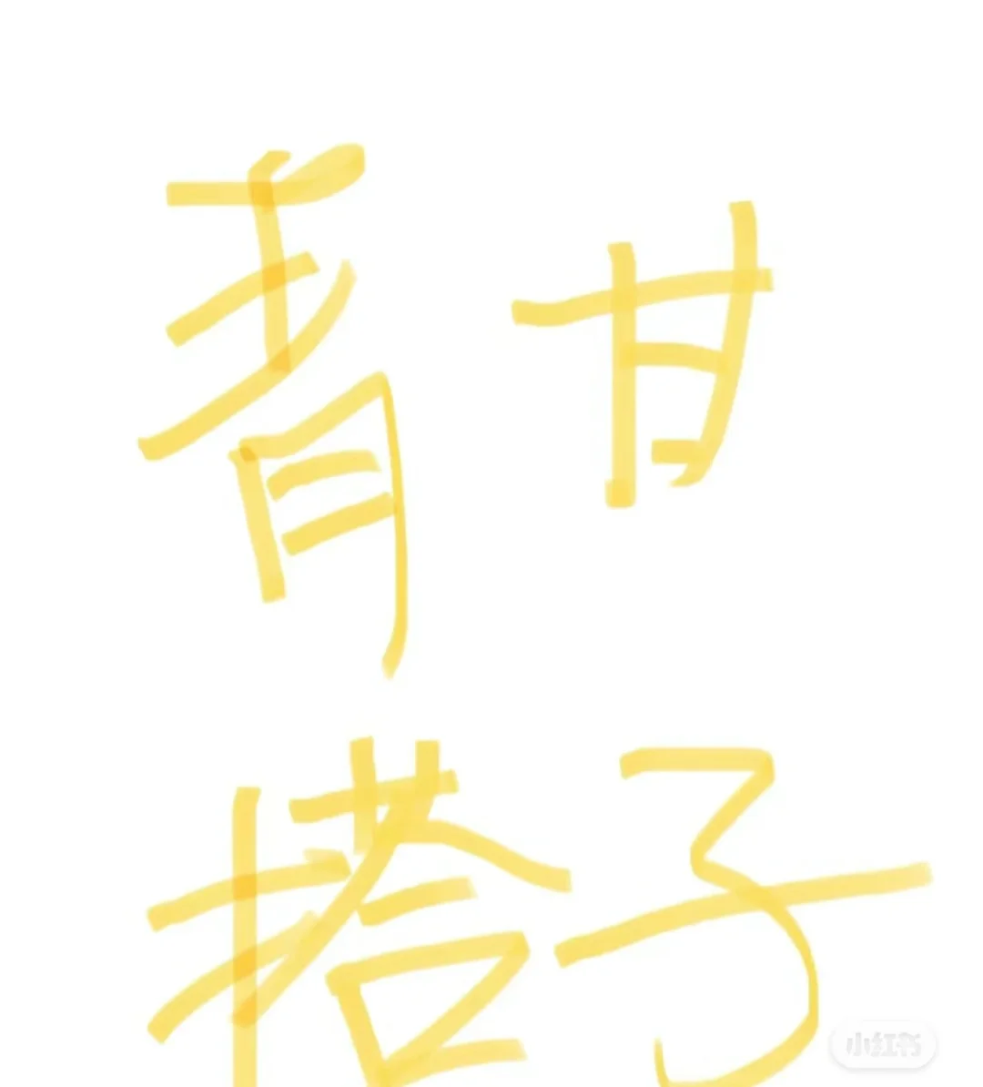 旅游搭子！七月大西北快来！