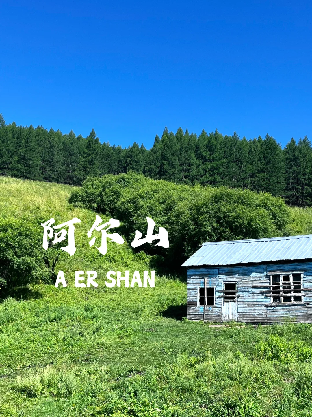 人生建议 一定要去一次大兴安岭📸（内附攻略