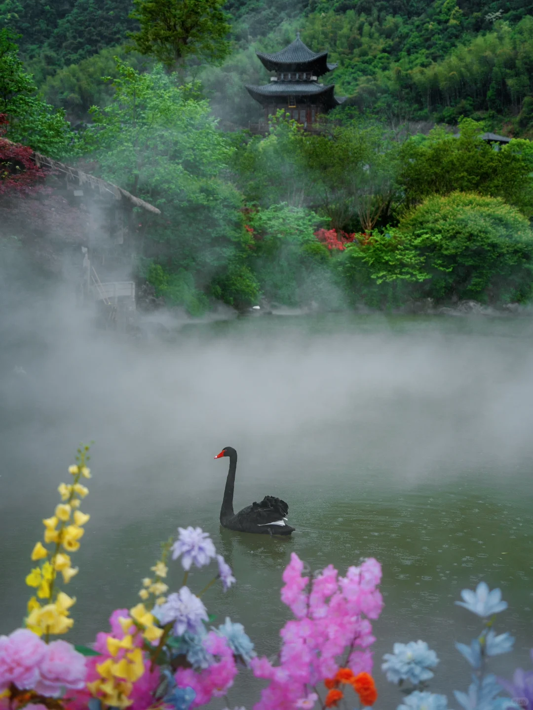李白没骗我😭在江西竟然拍到了“手可摘星辰”