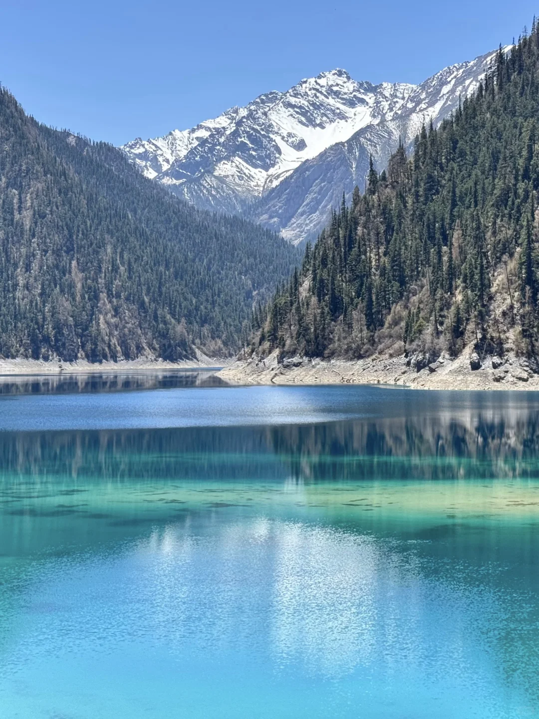 xhs说的对,5-6月计划去九寨沟的听劝😅…