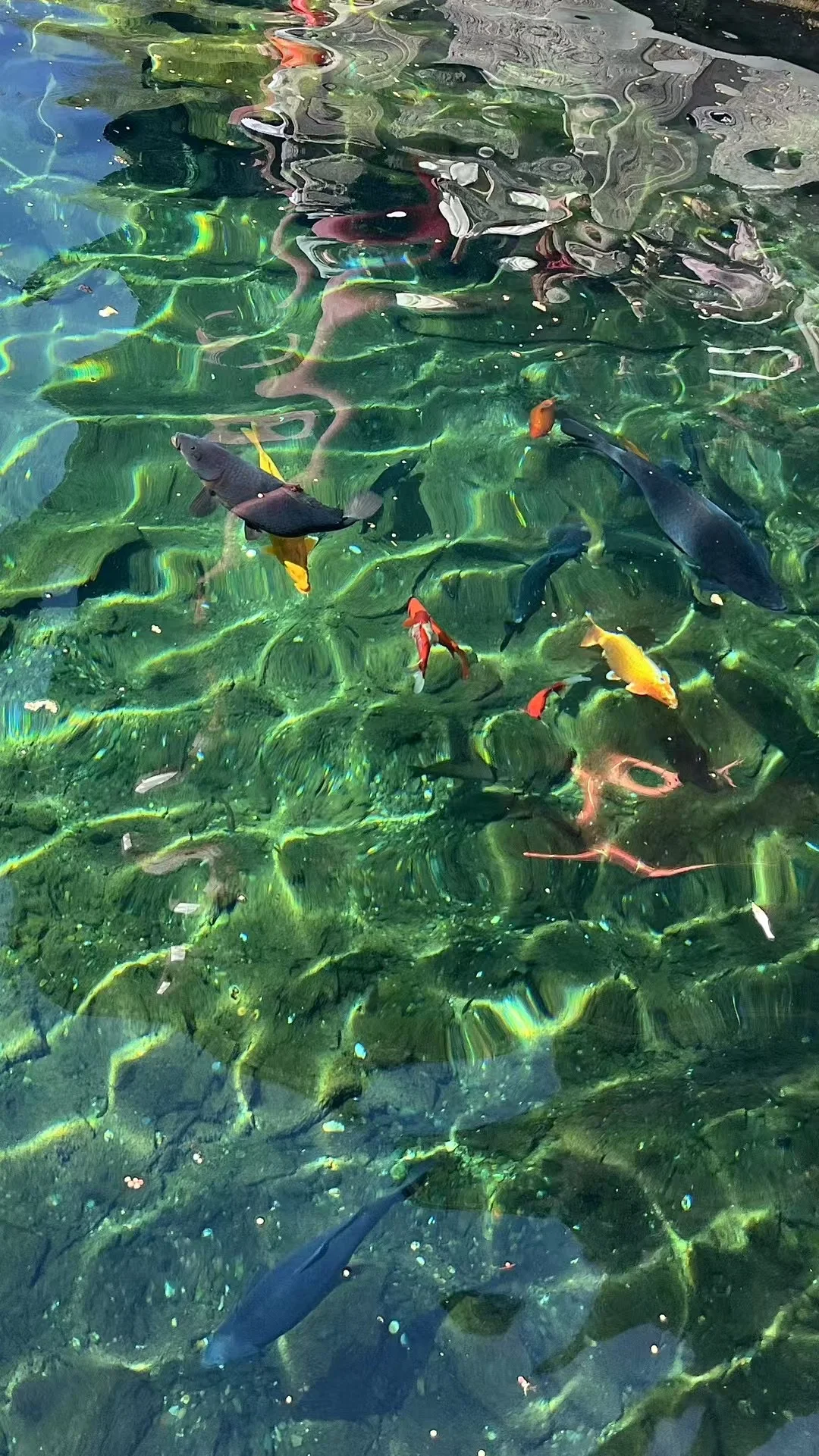 JINAN｜幸福游记