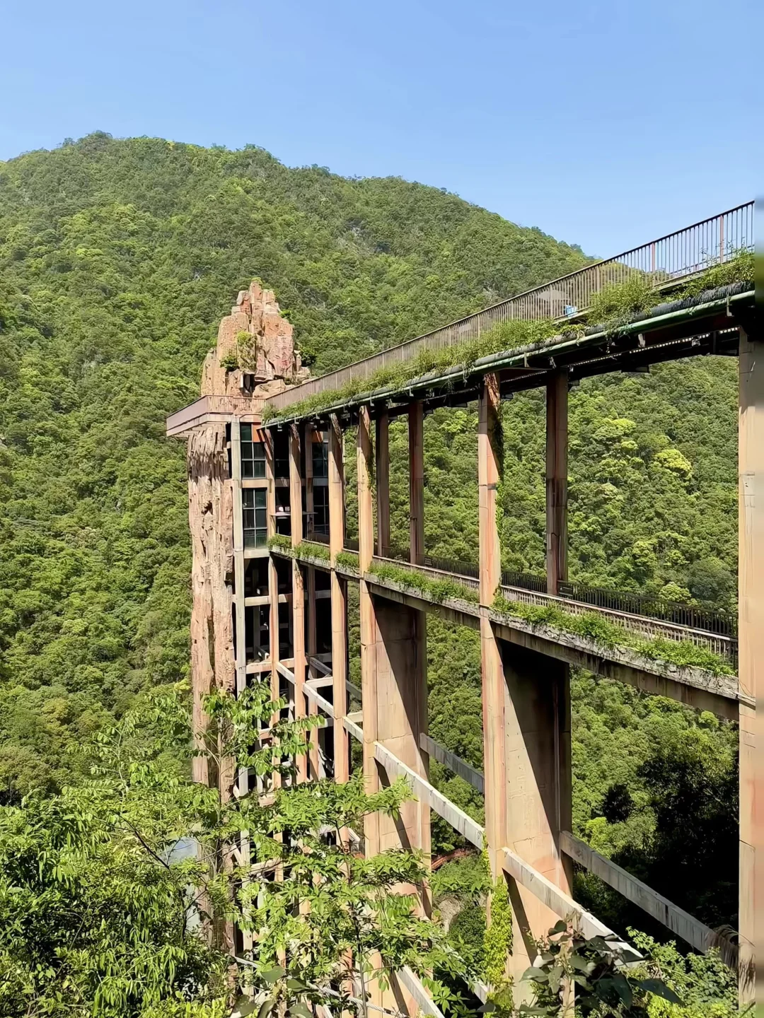 在广东‼️我很少用“震撼”来形容一个地方